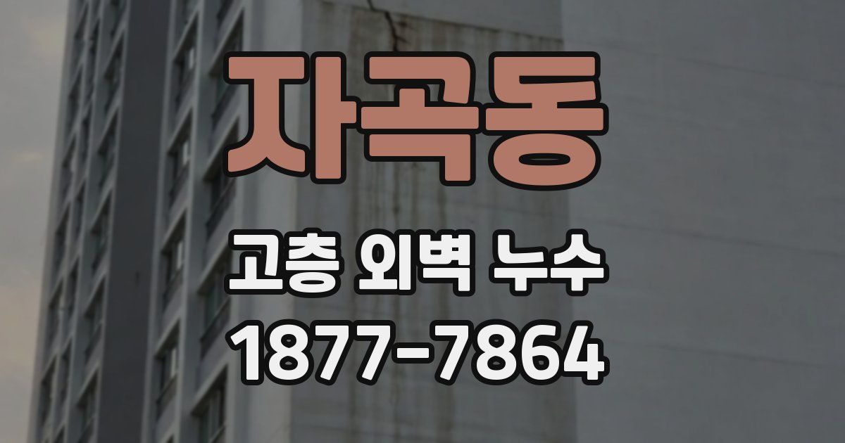 자곡동 고층 외벽 누수