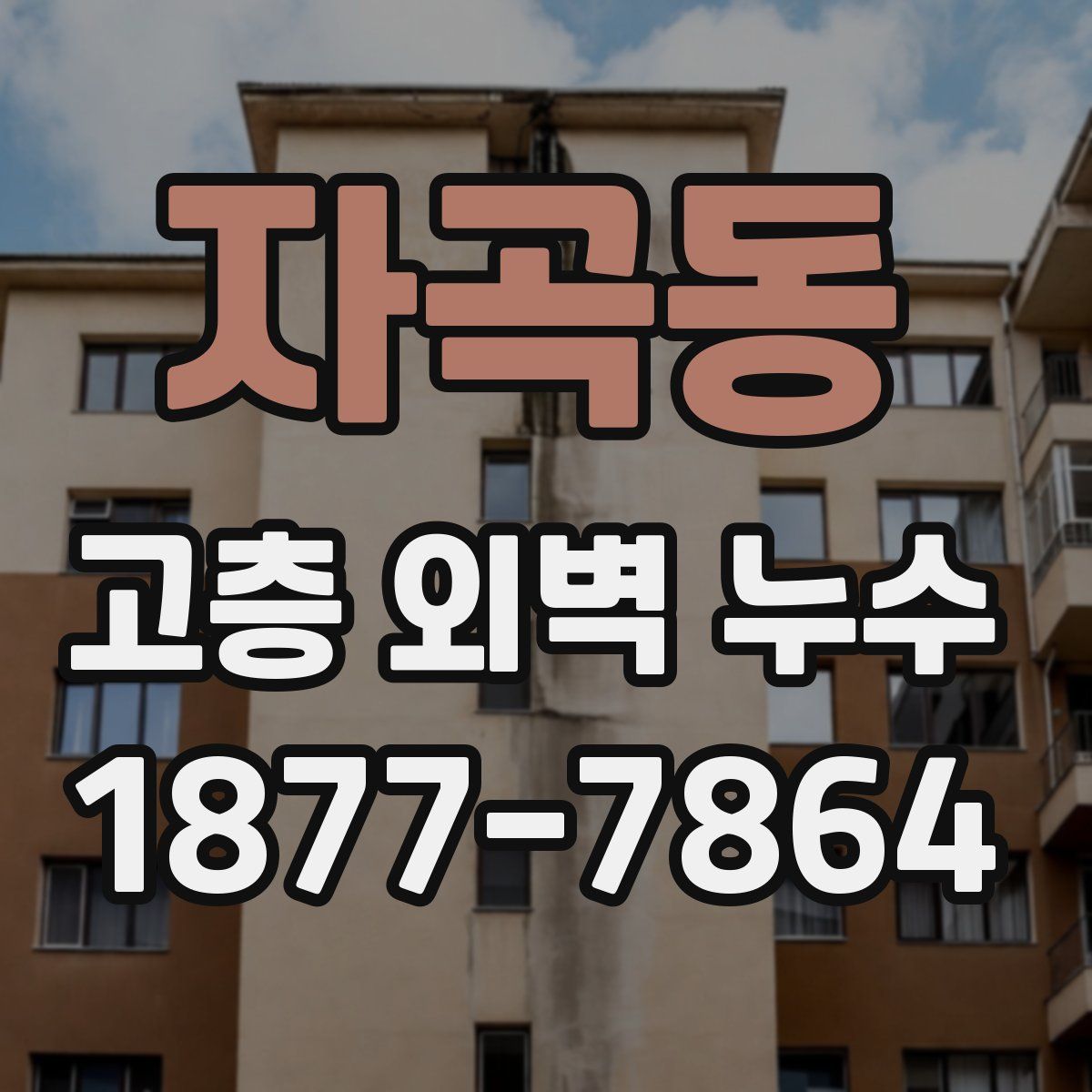 자곡동 고층 외벽 누수