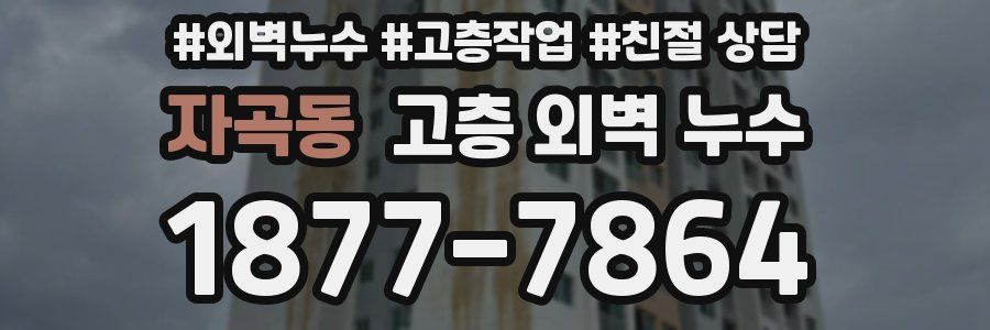 자곡동 고층 외벽 누수