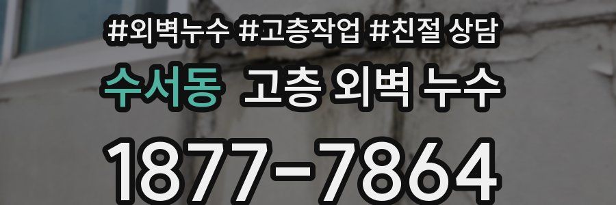 수서동 고층 외벽 누수