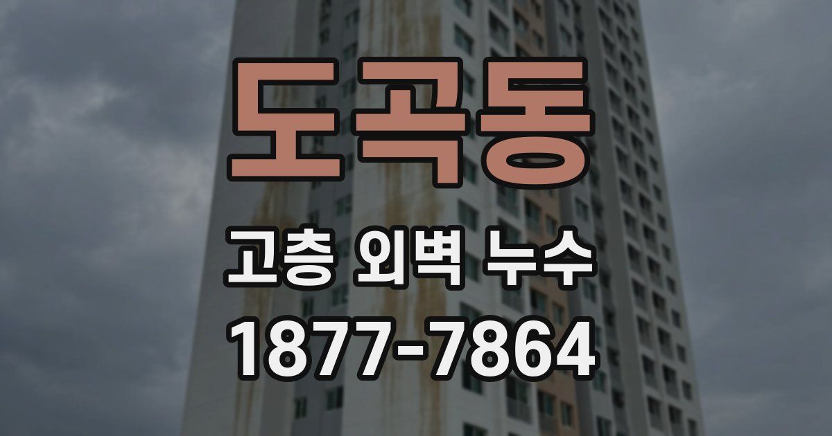 도곡동 고층 외벽 누수