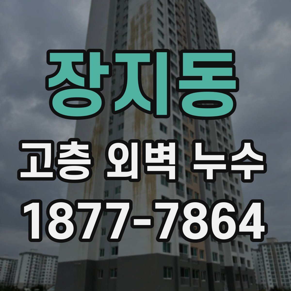 장지동 고층 외벽 누수