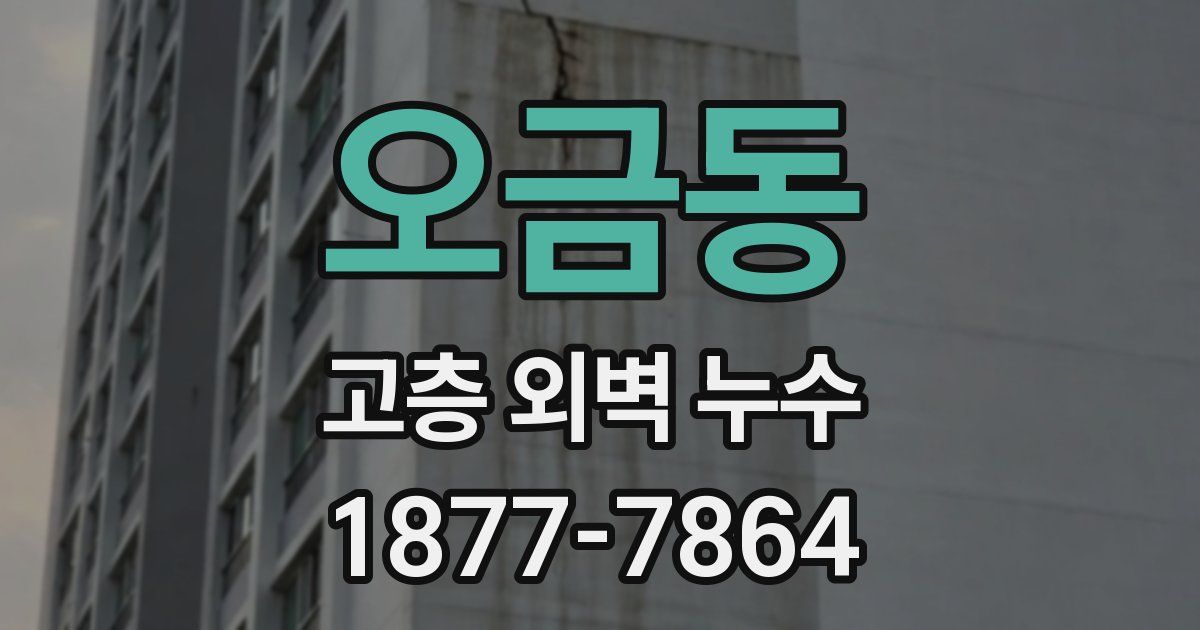오금동 고층 외벽 누수
