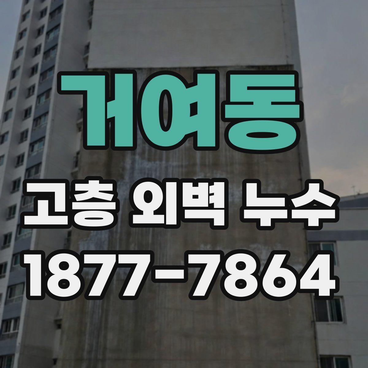 거여동 고층 외벽 누수