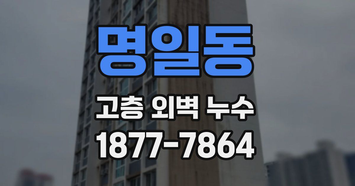 명일동 고층 외벽 누수