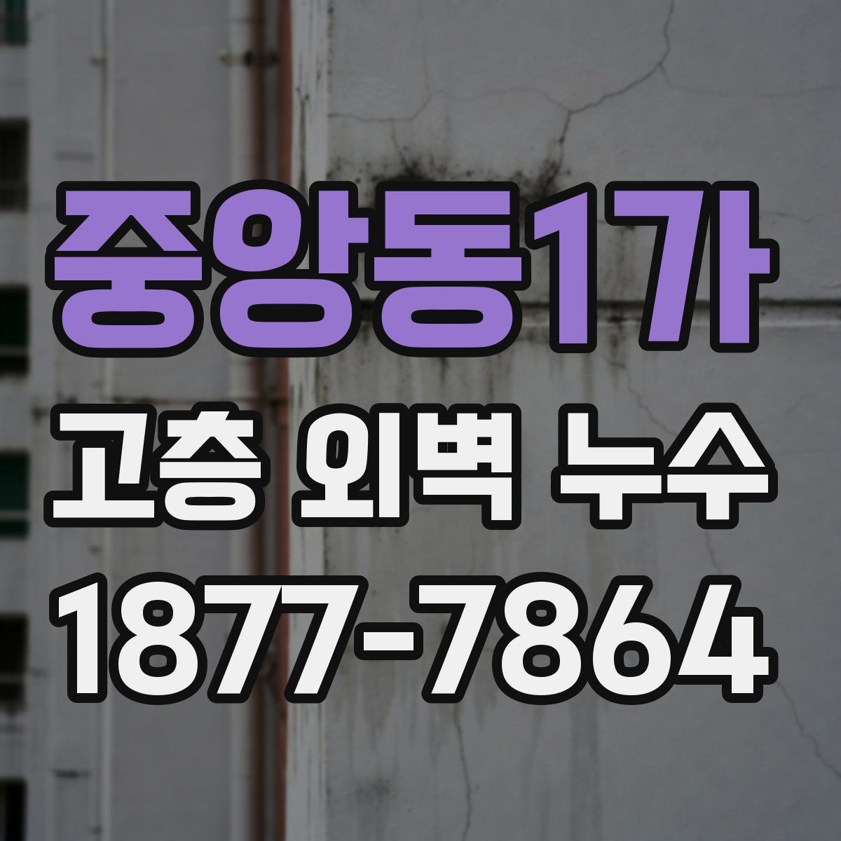 중앙동1가 고층 외벽 누수