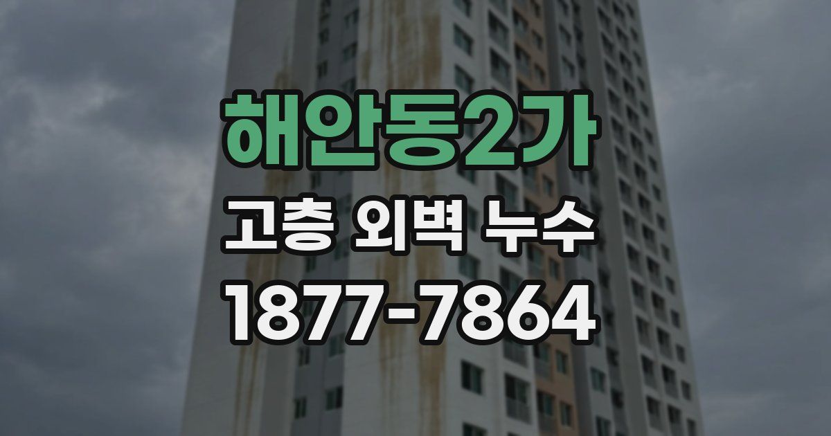 해안동2가 고층 외벽 누수