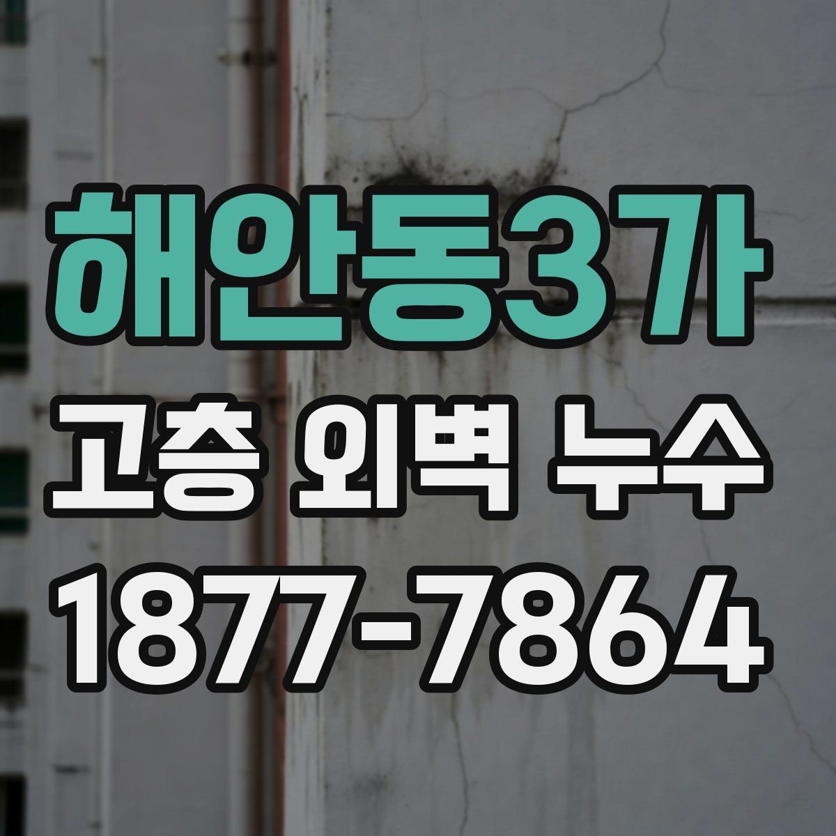 해안동3가 고층 외벽 누수