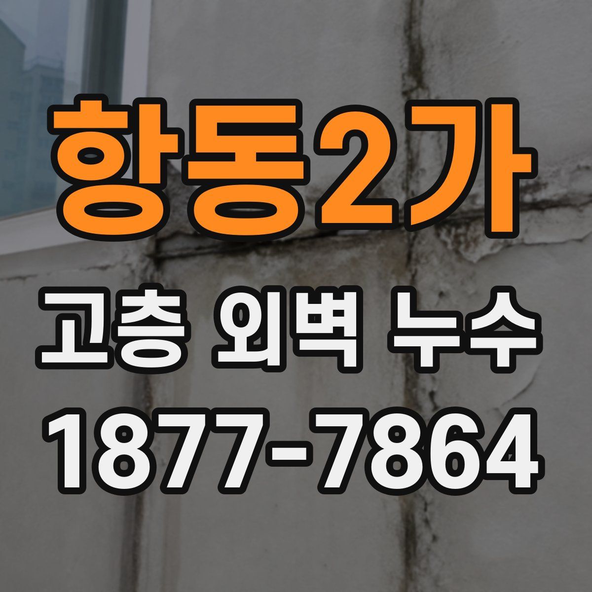 항동2가 고층 외벽 누수