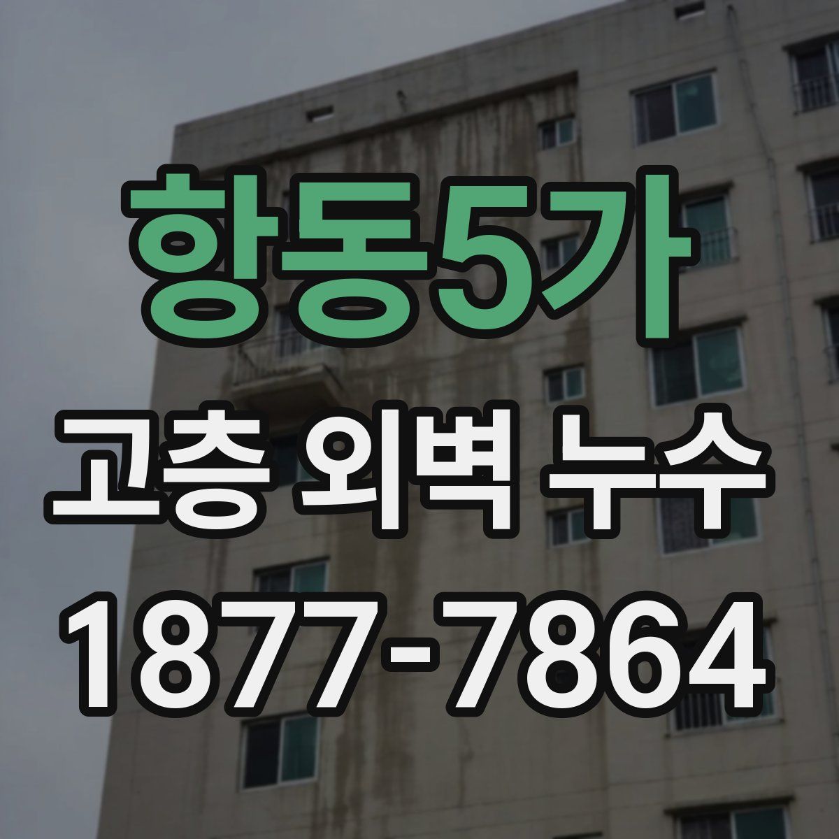 항동5가 고층 외벽 누수