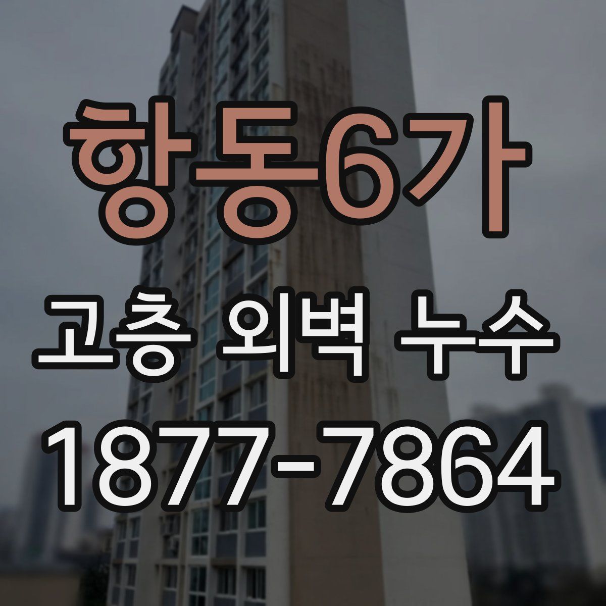 항동6가 고층 외벽 누수