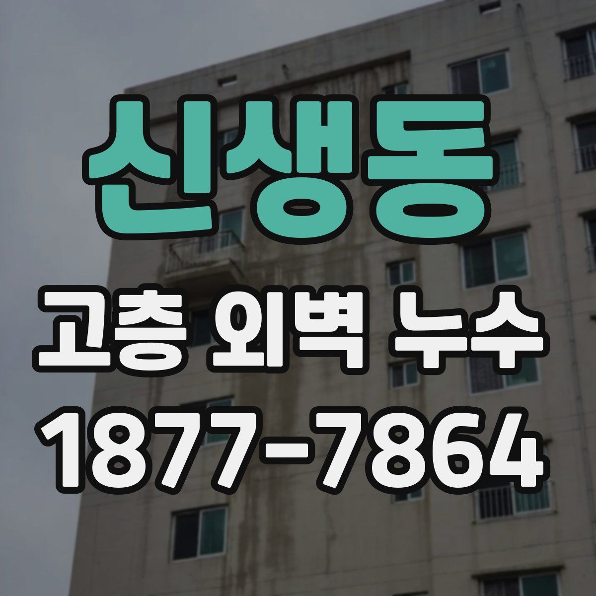신생동 고층 외벽 누수