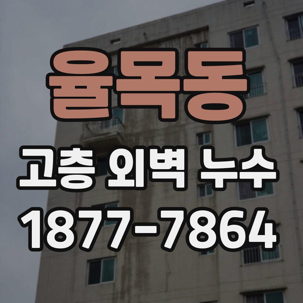 율목동 고층 외벽 누수