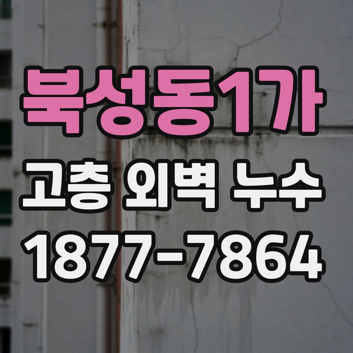북성동1가 고층 외벽 누수