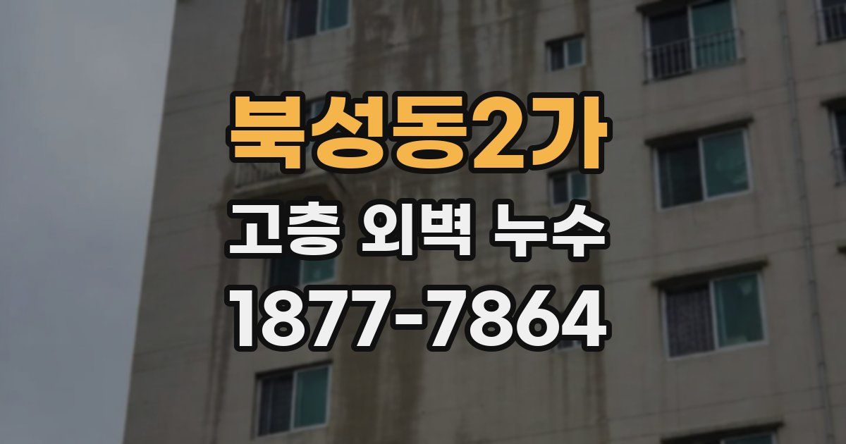북성동2가 고층 외벽 누수