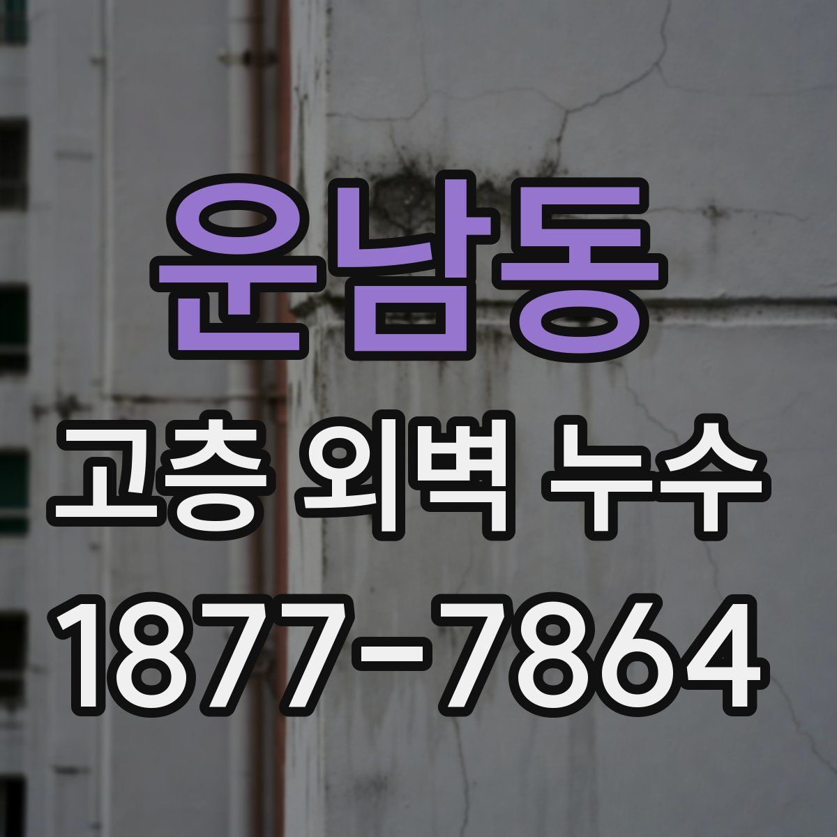 운남동 고층 외벽 누수