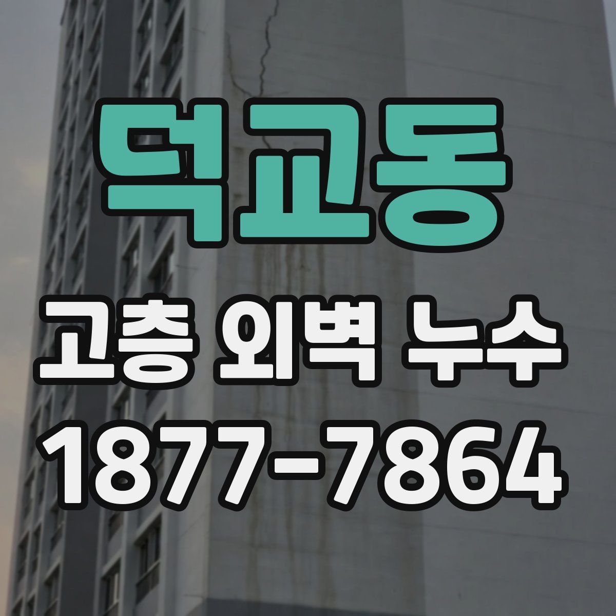 덕교동 고층 외벽 누수