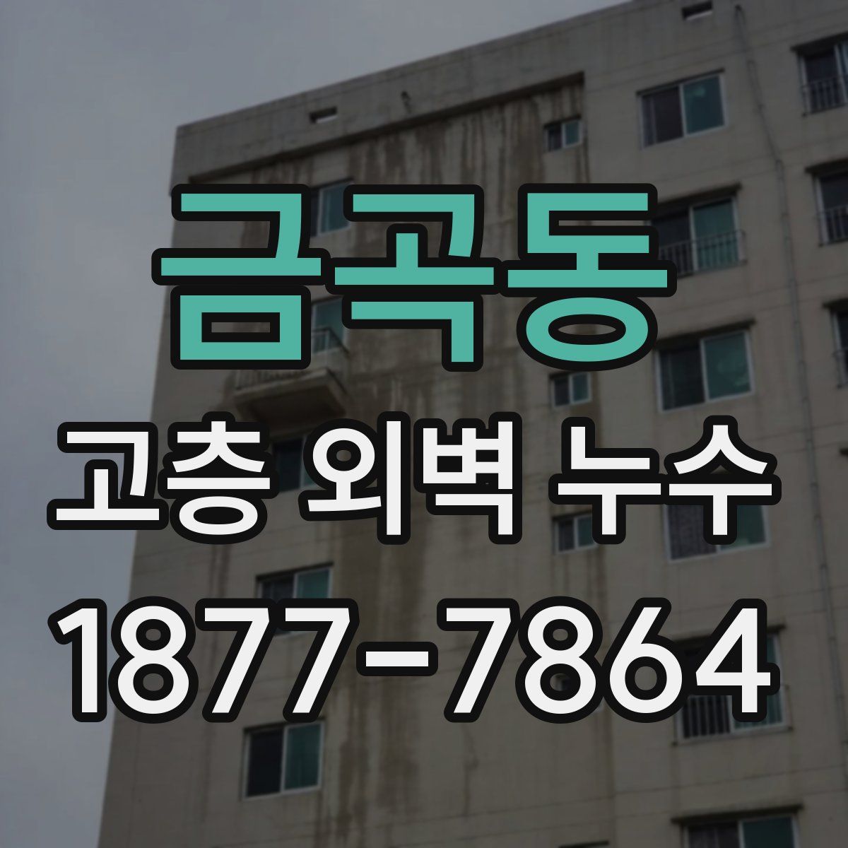 금곡동 고층 외벽 누수