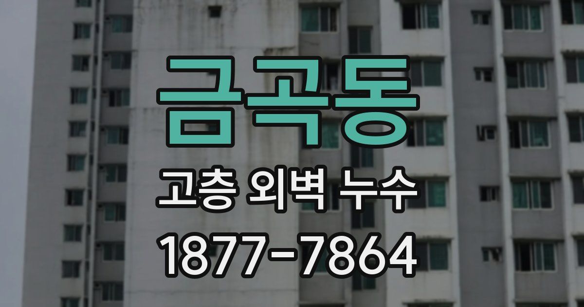 금곡동 고층 외벽 누수