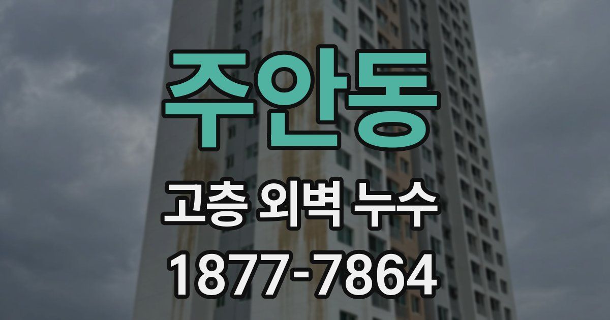 주안동 고층 외벽 누수