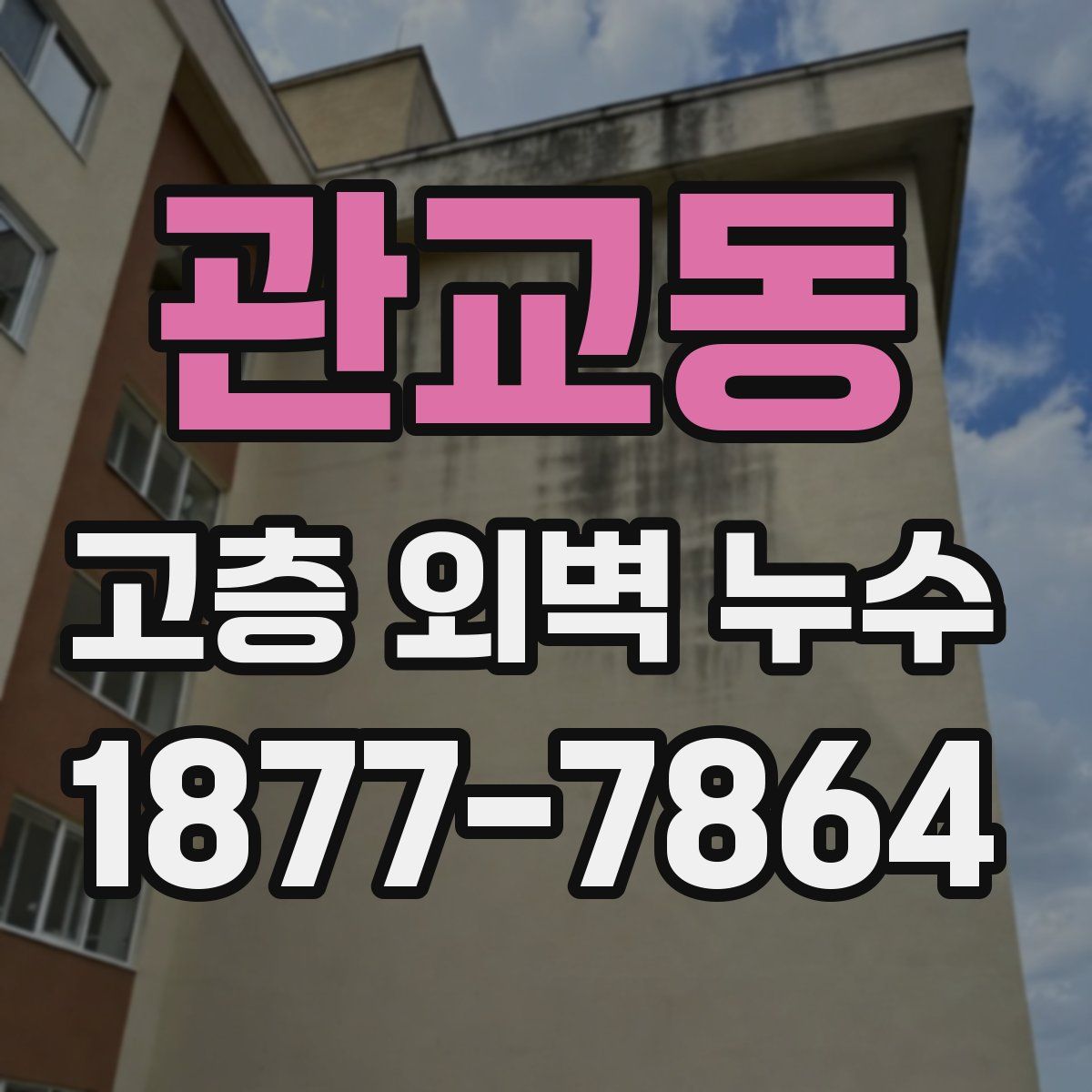 관교동 고층 외벽 누수