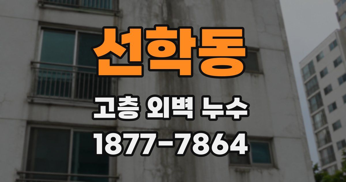 선학동 고층 외벽 누수