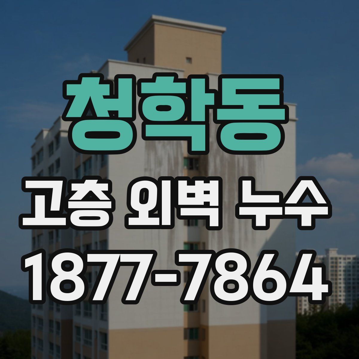 청학동 고층 외벽 누수