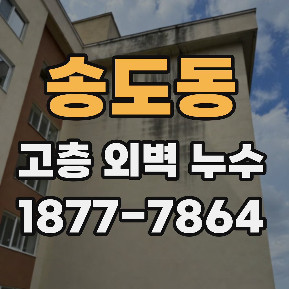 송도동 고층 외벽 누수