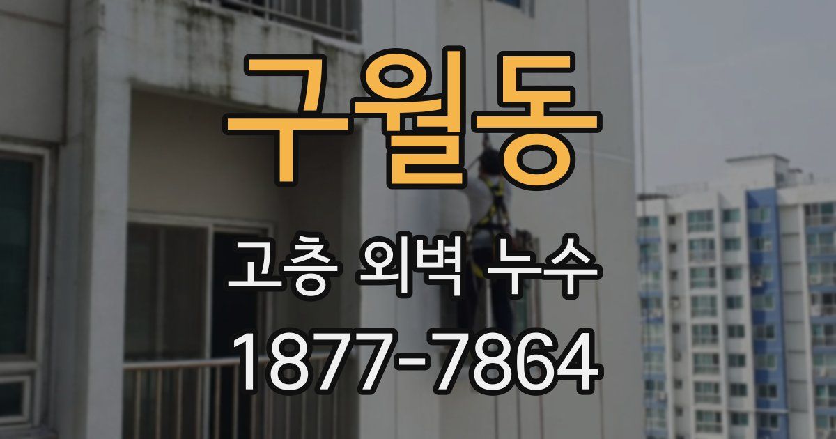 구월동 고층 외벽 누수