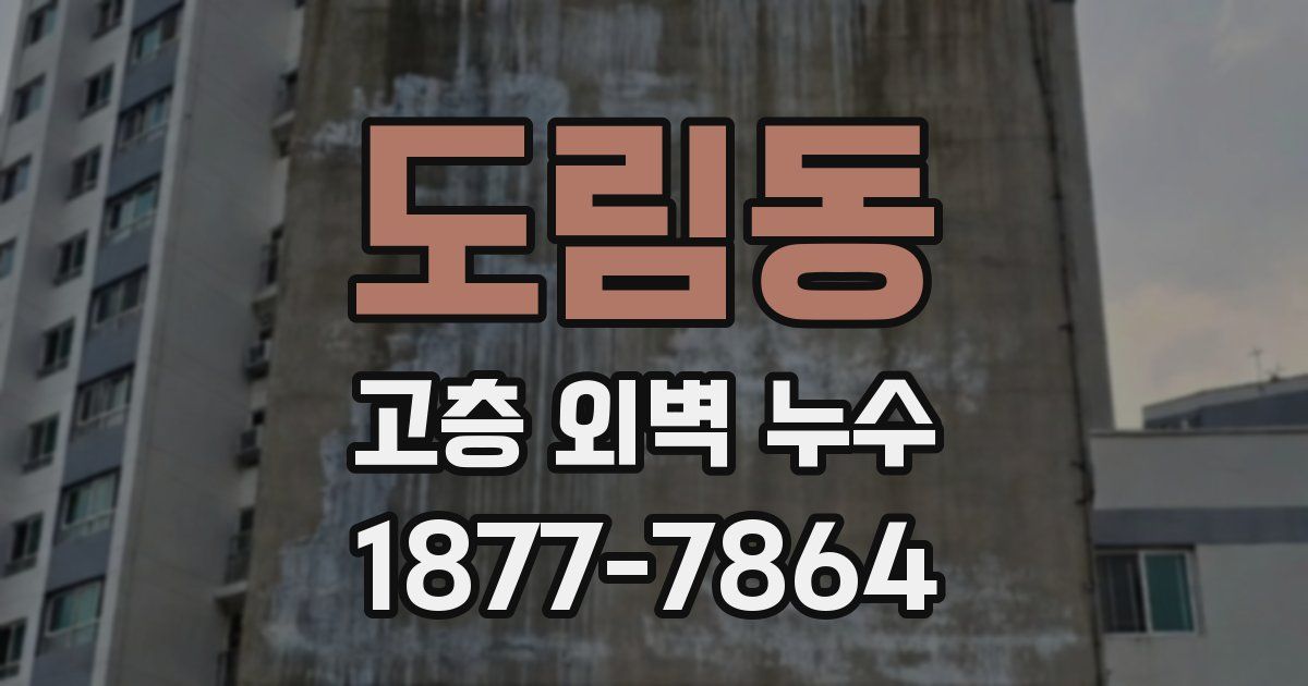 도림동 고층 외벽 누수