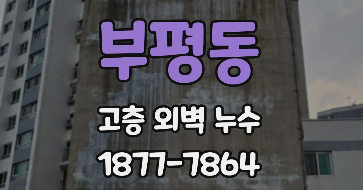 부평동 고층 외벽 누수