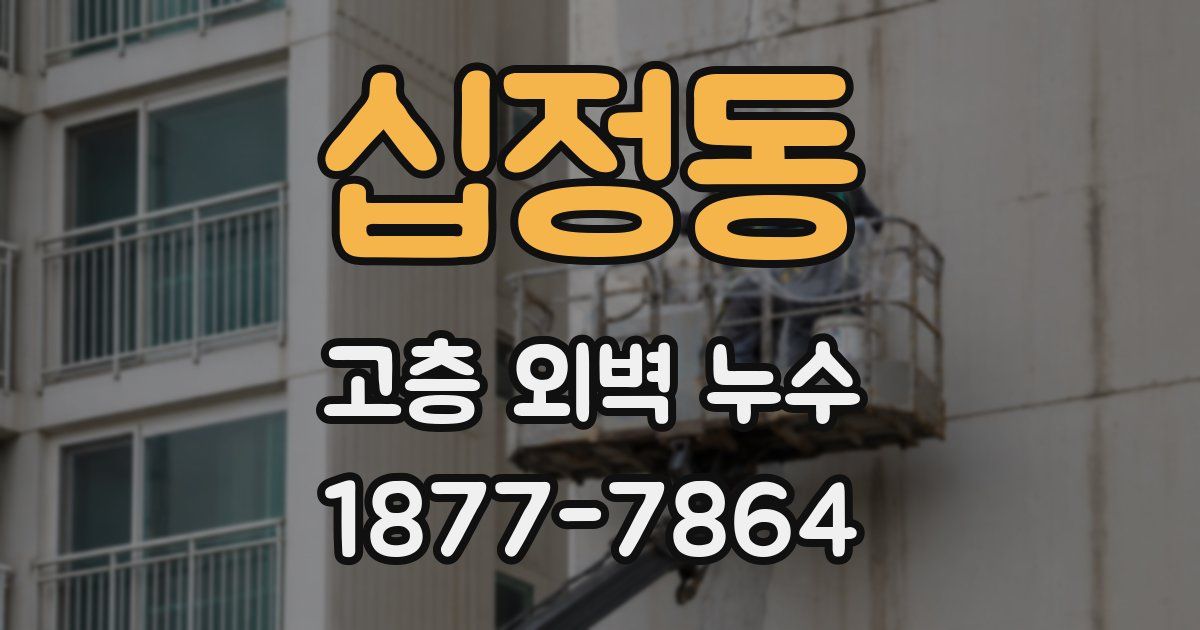십정동 고층 외벽 누수