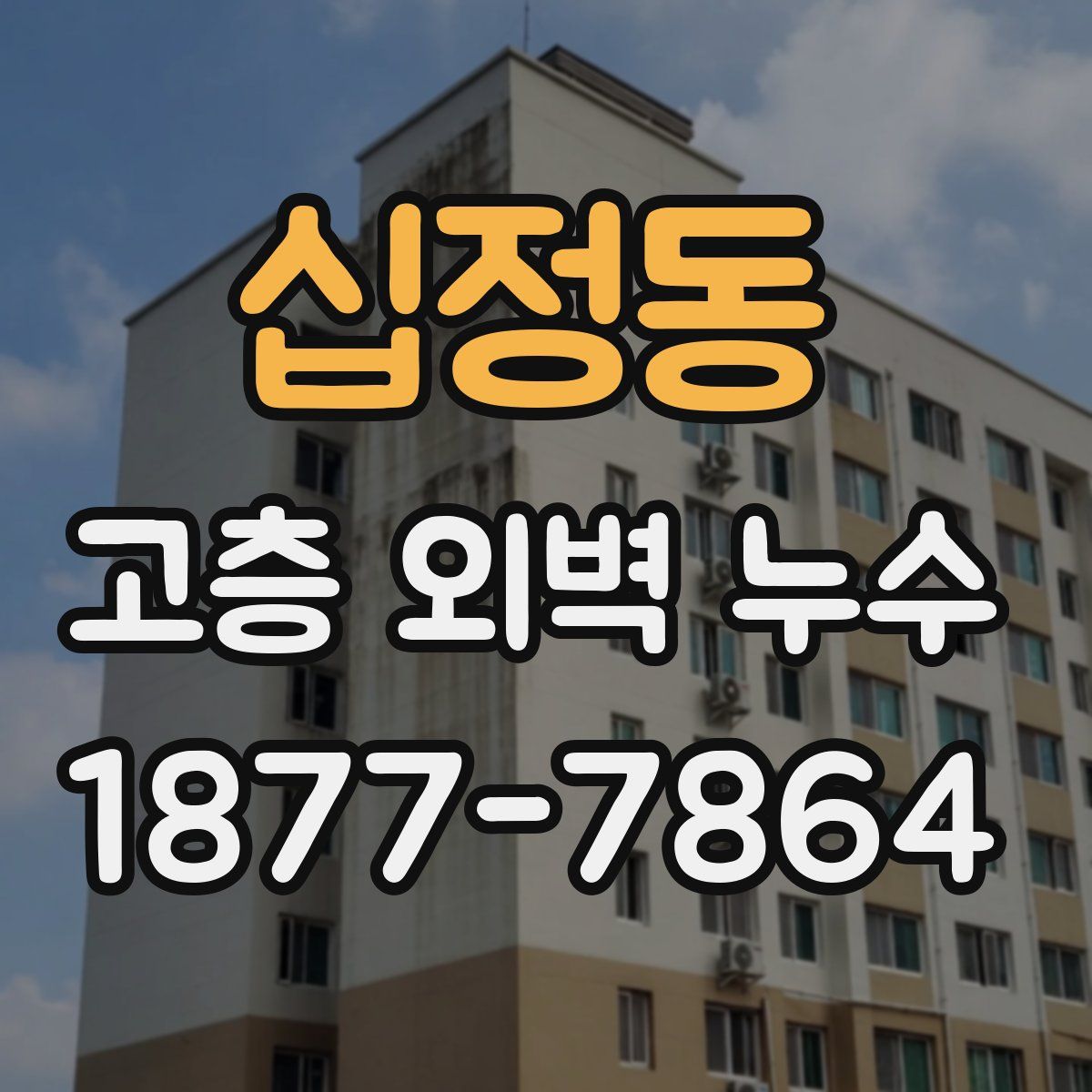 십정동 고층 외벽 누수