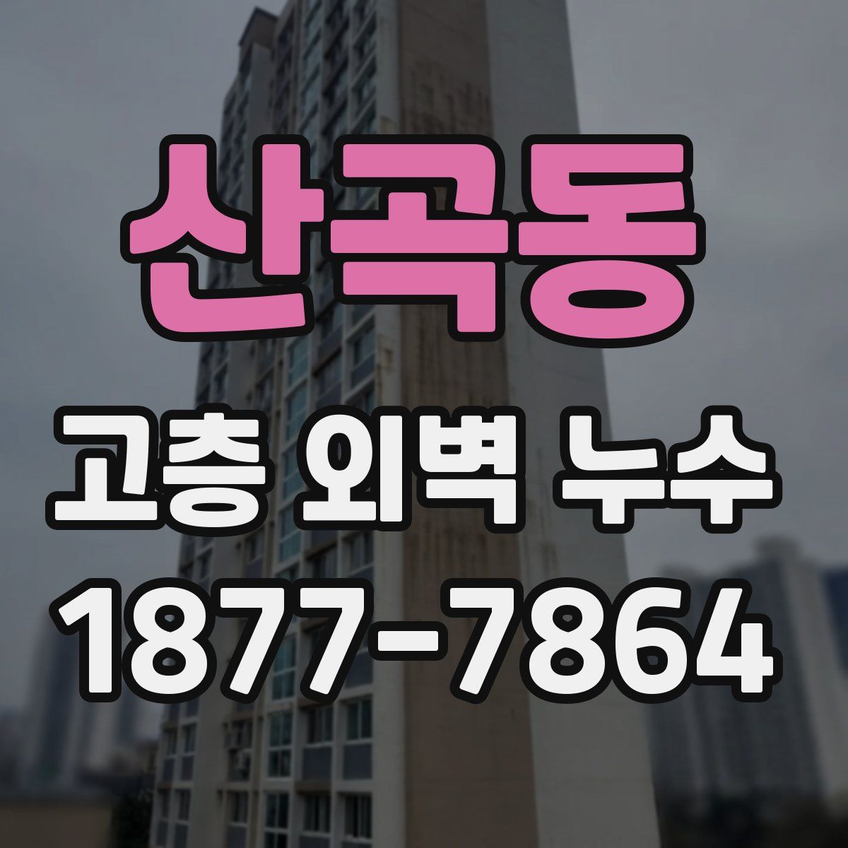 산곡동 고층 외벽 누수