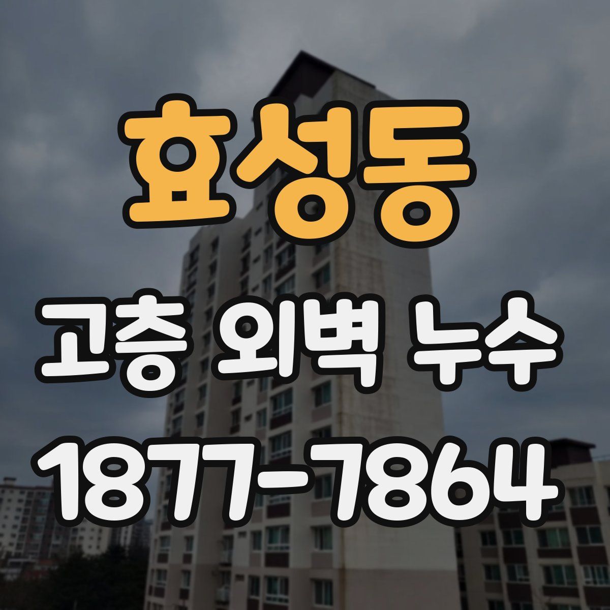 효성동 고층 외벽 누수