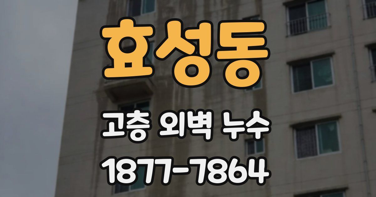 효성동 고층 외벽 누수