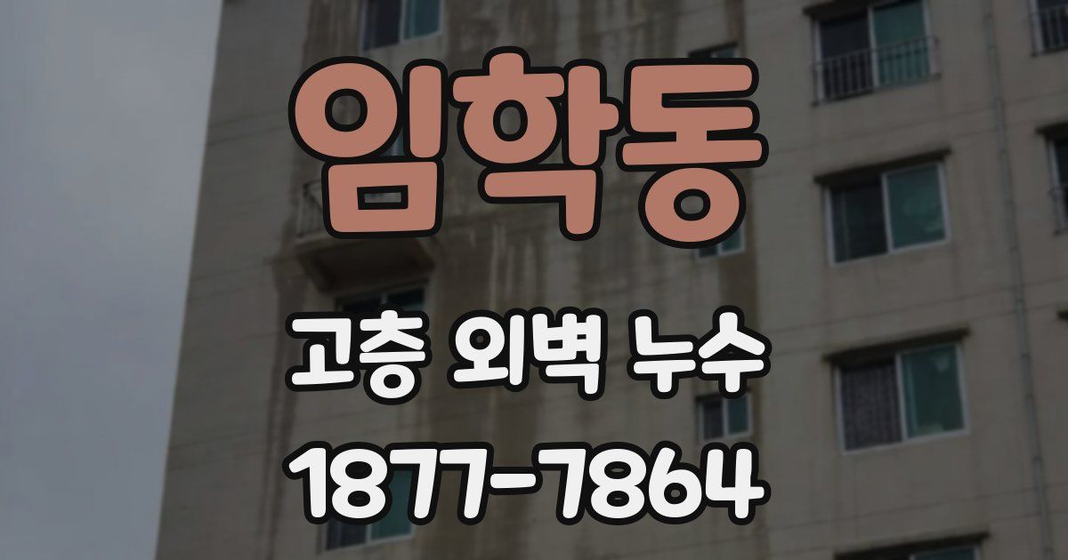 임학동 고층 외벽 누수
