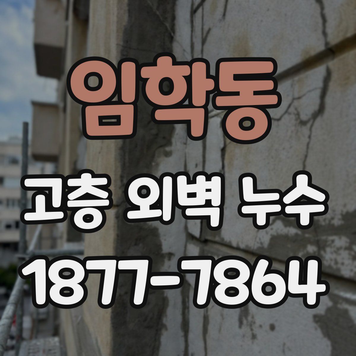 임학동 고층 외벽 누수