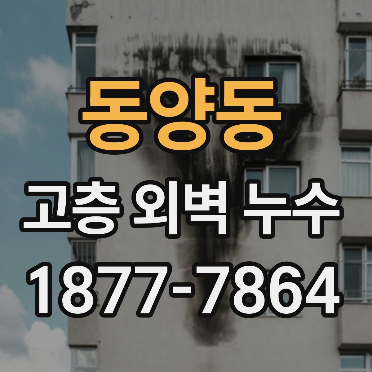 동양동 고층 외벽 누수