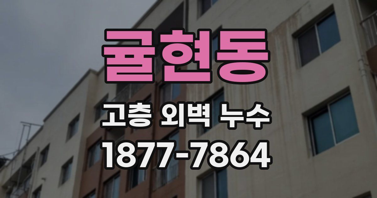귤현동 고층 외벽 누수