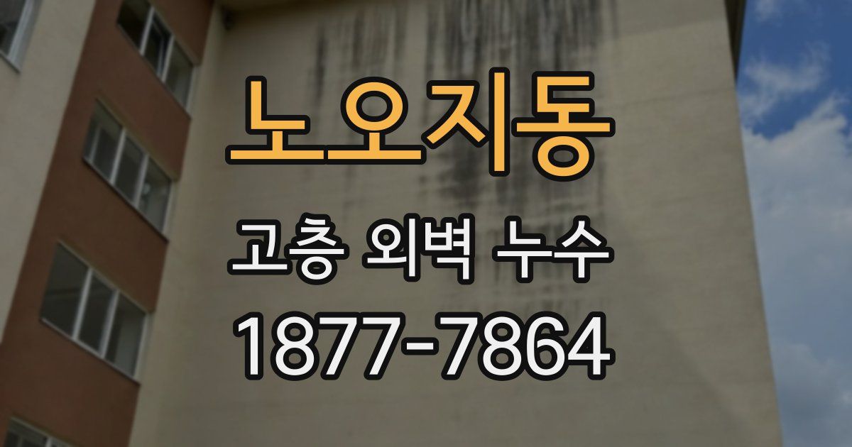 노오지동 고층 외벽 누수