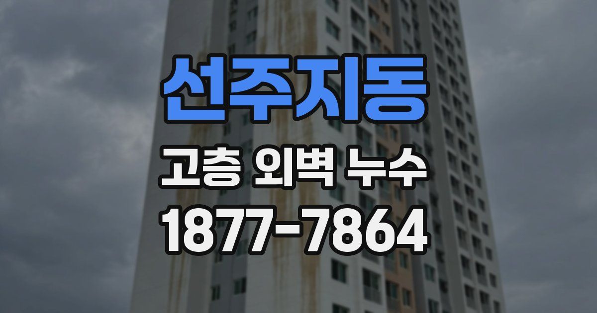 선주지동 고층 외벽 누수