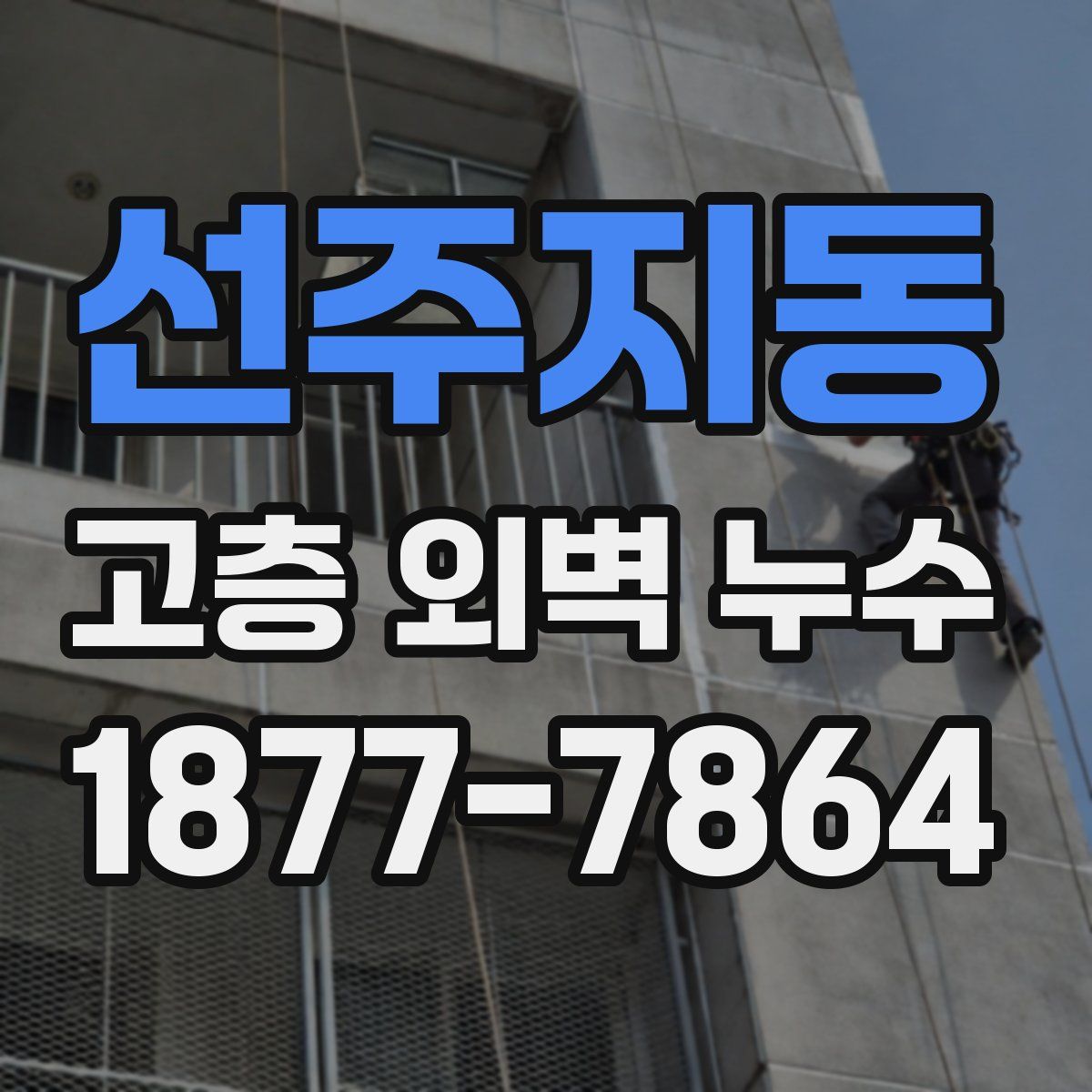 선주지동 고층 외벽 누수