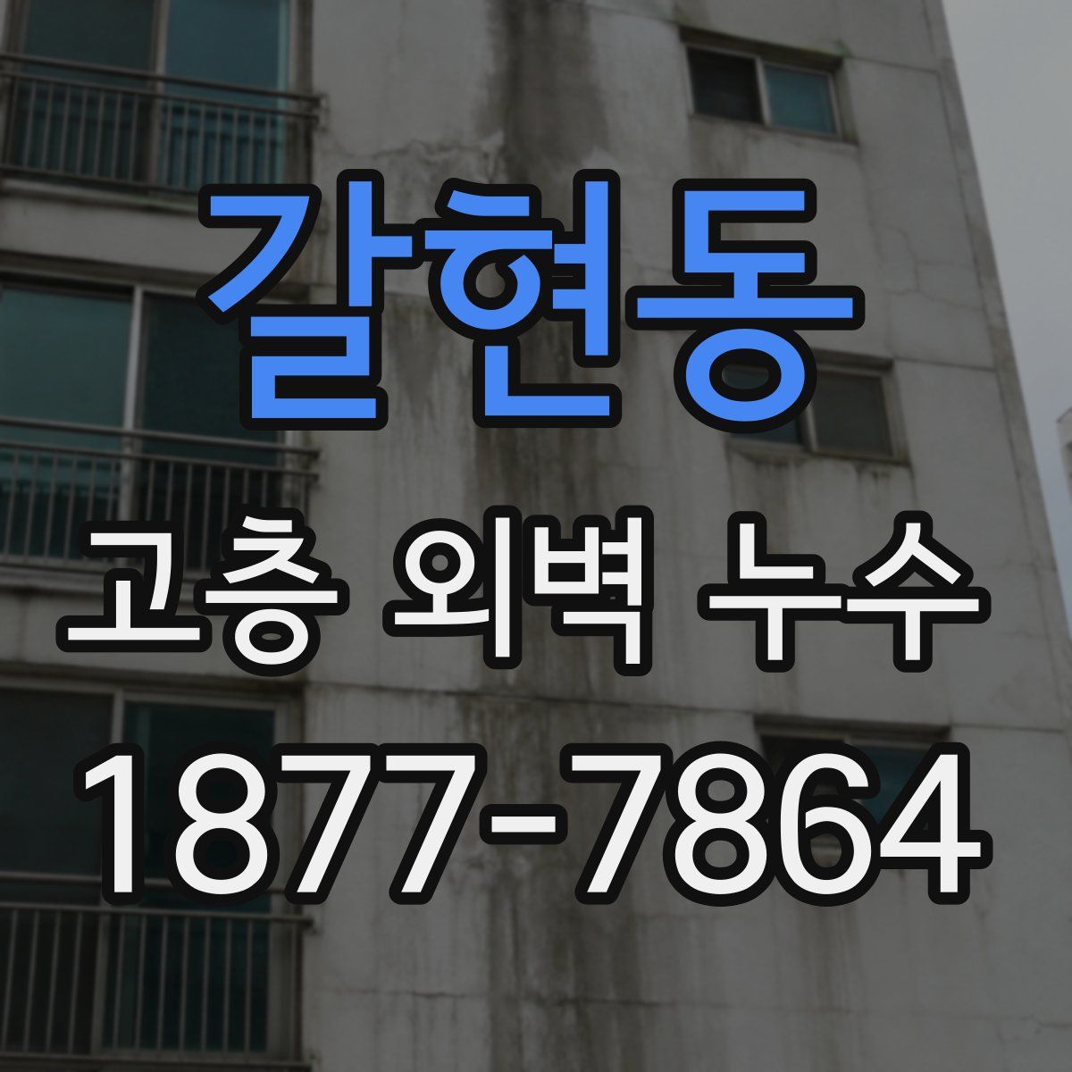 갈현동 고층 외벽 누수