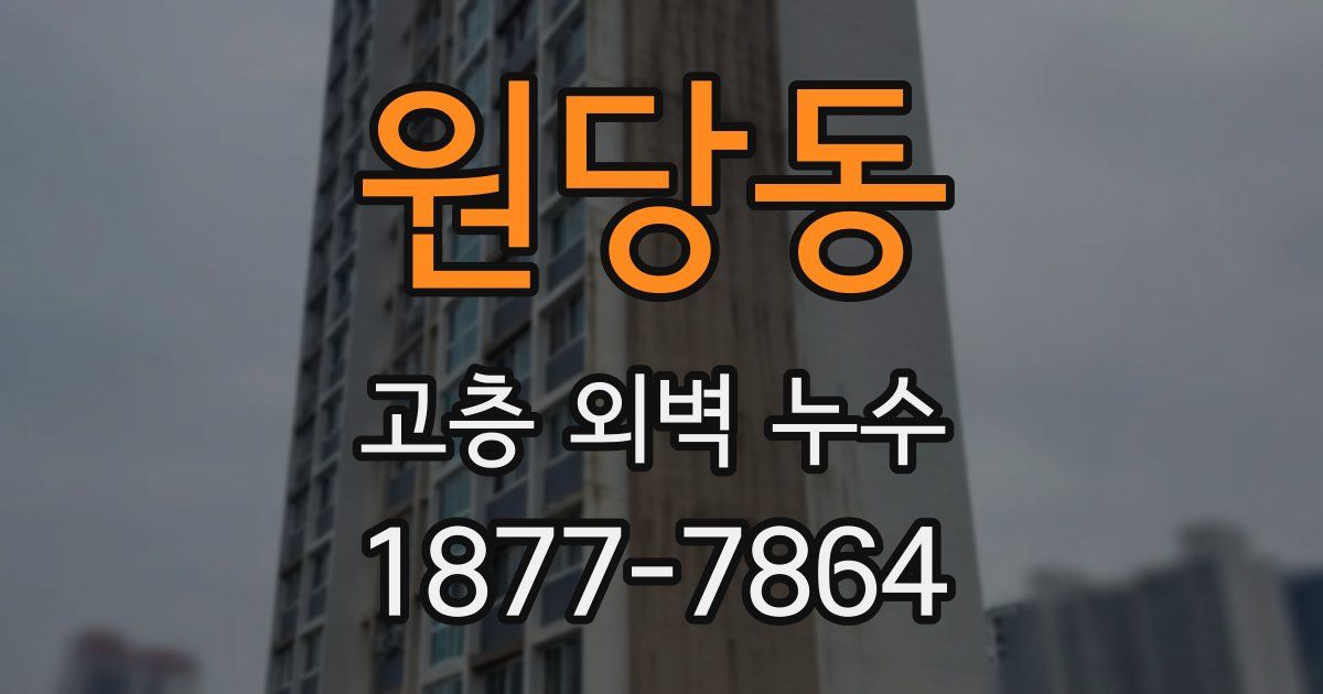 원당동 고층 외벽 누수