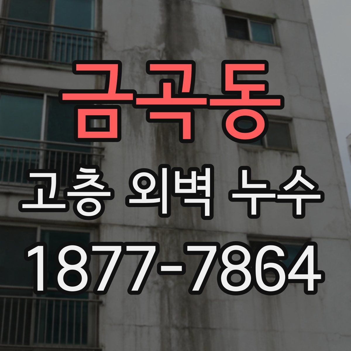 금곡동 고층 외벽 누수