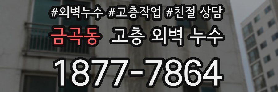 금곡동 고층 외벽 누수