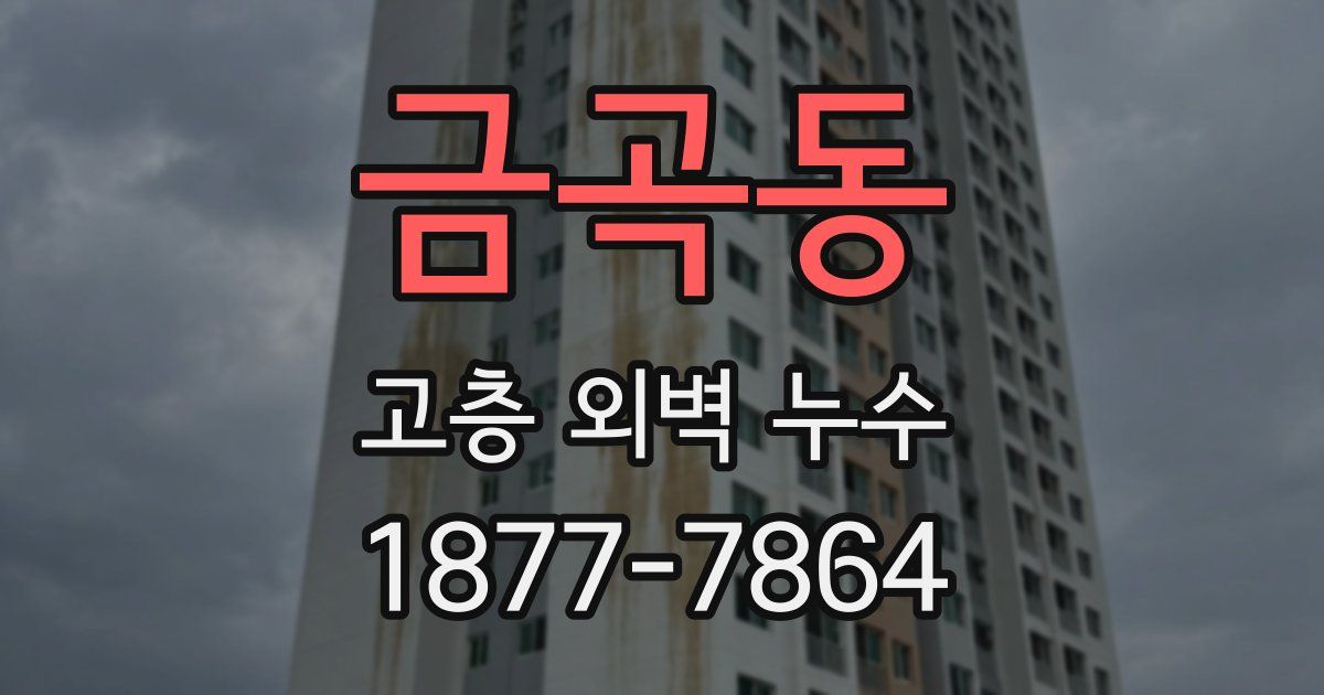 금곡동 고층 외벽 누수
