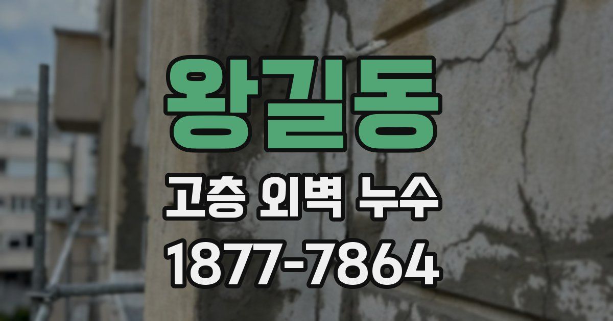 왕길동 고층 외벽 누수