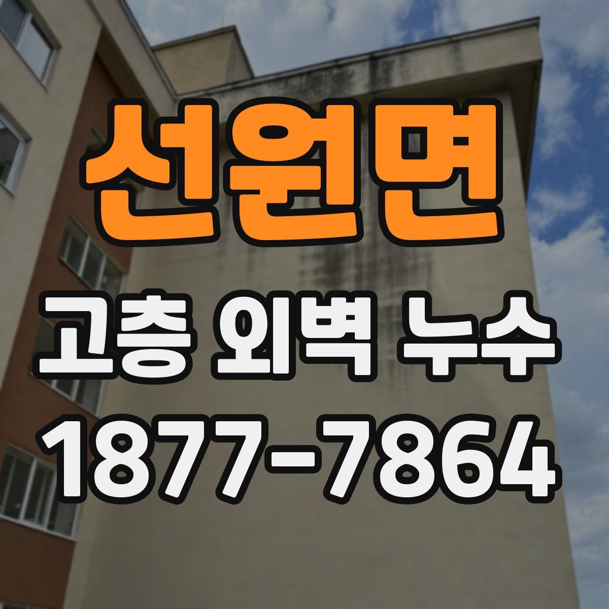 선원면 고층 외벽 누수